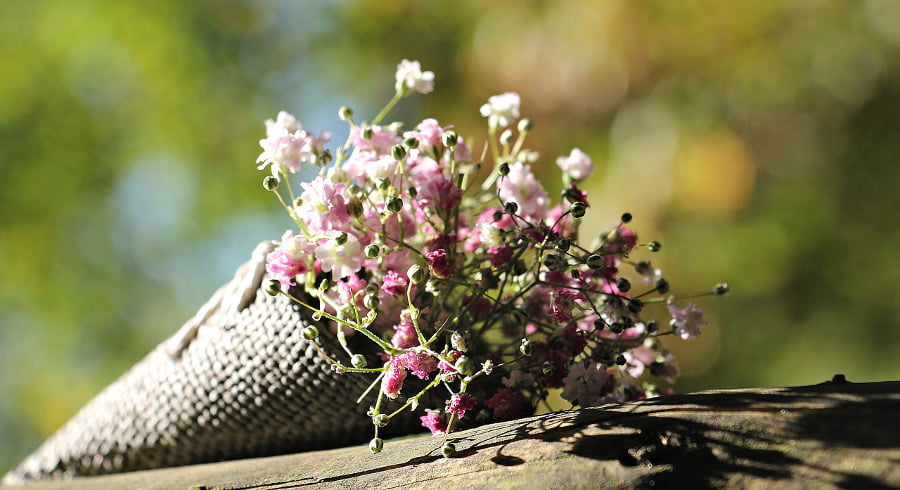 inspirational poetry: circle of life