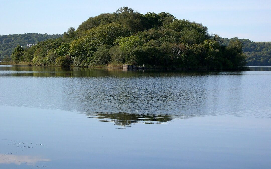 WB Yeats Writes The Lake Isle of Inisfree